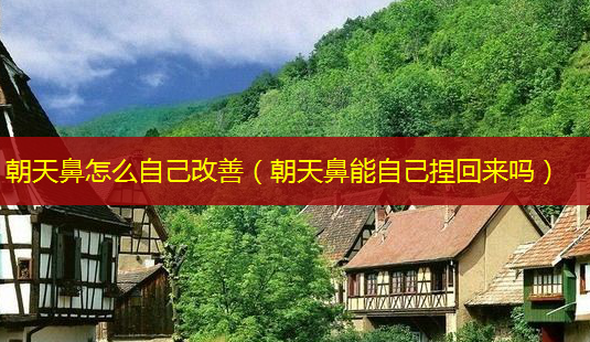 朝天鼻怎么自己改善（朝天鼻能自己捏回来吗）-第1张图片-美呗严选网