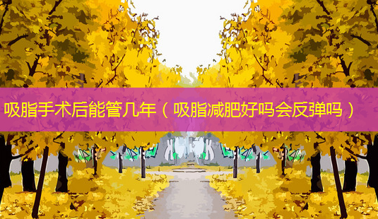吸脂手术后能管几年(吸脂减肥好吗会反弹吗)-第1张图片-美呗严选网 吸脂手术后能管几年(吸脂减肥好吗会反弹吗)-第1张图片-美呗严选网