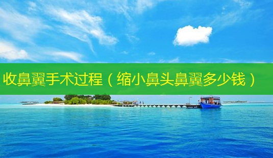 收鼻翼手术过程(缩小鼻头鼻翼多少钱)-第1张图片-美呗严选网 收鼻翼手术过程(缩小鼻头鼻翼多少钱)-第1张图片-美呗严选网