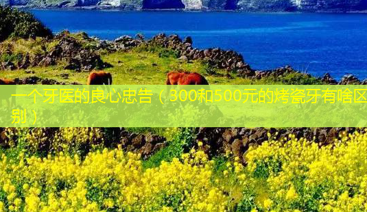 一个牙医的良心忠告(300和500元的烤瓷牙有啥区别)-第1张图片-美呗严选网 一个牙医的良心忠告(300和500元的烤瓷牙有啥区别)-第1张图片-美呗严选网