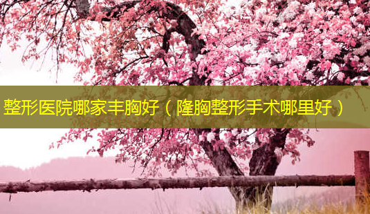 整形医院哪家丰胸好(隆胸整形手术哪里好)-第1张图片-美呗严选网 整形医院哪家丰胸好(隆胸整形手术哪里好)-第1张图片-美呗严选网