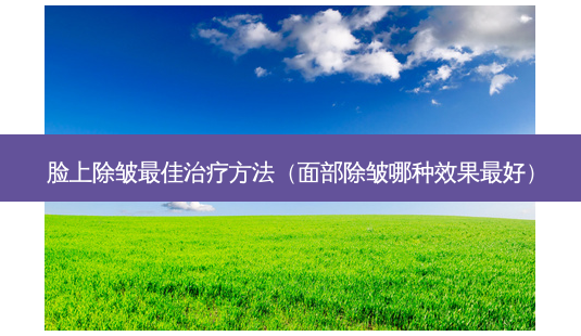 脸上除皱佳 *** (面部除皱哪种效果好)-第1张图片-美呗严选网 脸上除皱佳 *** (面部除皱哪种效果好)-第1张图片-美呗严选网