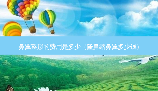 鼻翼整形的费用是多少(隆鼻缩鼻翼多少钱)-第1张图片-美呗严选网 鼻翼整形的费用是多少(隆鼻缩鼻翼多少钱)-第1张图片-美呗严选网