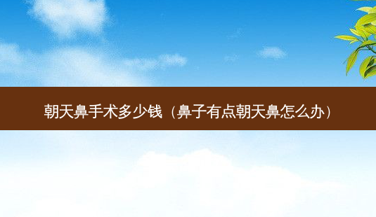 朝天鼻手术多少钱(鼻子有点朝天鼻怎么办)-第1张图片-美呗严选网 朝天鼻手术多少钱(鼻子有点朝天鼻怎么办)-第1张图片-美呗严选网