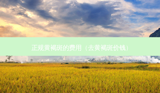 正规黄褐斑的费用(去黄褐斑价钱)-第1张图片-美呗严选网 正规黄褐斑的费用(去黄褐斑价钱)-第1张图片-美呗严选网