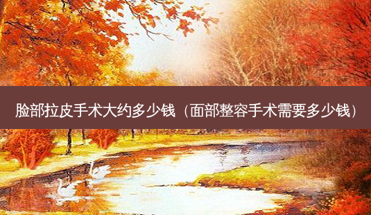 脸部拉皮手术大约多少钱(面部整容手术需要多少钱)-第1张图片-美呗严选网 脸部拉皮手术大约多少钱(面部整容手术需要多少钱)-第1张图片-美呗严选网