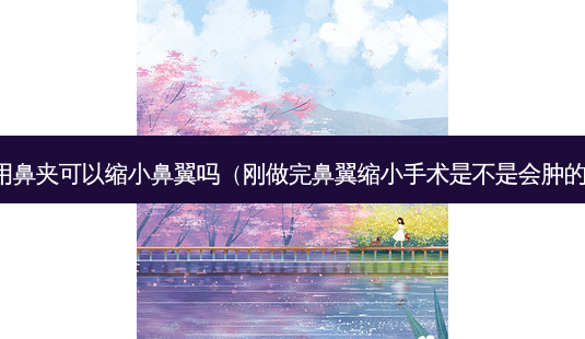 用鼻夹可以缩小鼻翼吗(刚做完鼻翼缩小手术是不是会肿的)-第1张图片-美呗严选网 用鼻夹可以缩小鼻翼吗(刚做完鼻翼缩小手术是不是会肿的)-第1张图片-美呗严选网