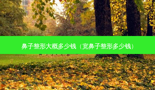 鼻子整形大概多少钱(宽鼻子整形多少钱)-第1张图片-美呗严选网 鼻子整形大概多少钱(宽鼻子整形多少钱)-第1张图片-美呗严选网