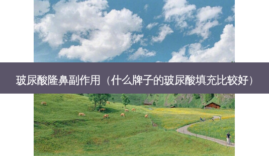 玻尿酸隆鼻副作用(什么牌子的玻尿酸填充比较好)-第1张图片-美呗严选网 玻尿酸隆鼻副作用(什么牌子的玻尿酸填充比较好)-第1张图片-美呗严选网