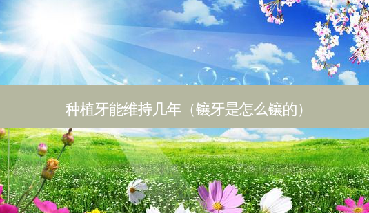 种植牙能维持几年(镶牙是怎么镶的)-第1张图片-美呗严选网 种植牙能维持几年(镶牙是怎么镶的)-第1张图片-美呗严选网