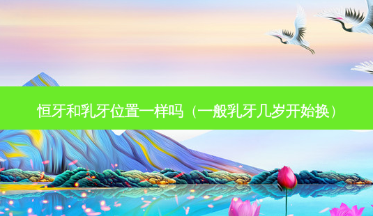 恒牙和乳牙位置一样吗(一般乳牙几岁开始换)-第1张图片-美呗严选网 恒牙和乳牙位置一样吗(一般乳牙几岁开始换)-第1张图片-美呗严选网