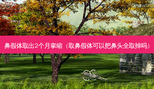 鼻假体取出2个月挛缩(取鼻假体可以把鼻头全取掉吗)-第1张图片-美呗严选网 鼻假体取出2个月挛缩(取鼻假体可以把鼻头全取掉吗)-第1张图片-美呗严选网