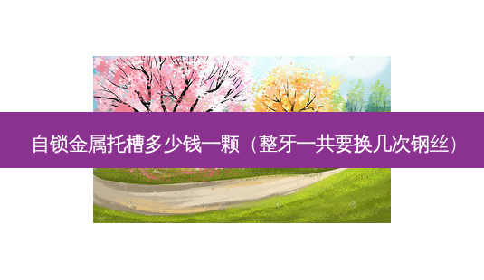 自锁金属托槽多少钱一颗(整牙一共要换几次钢丝)-第1张图片-美呗严选网 自锁金属托槽多少钱一颗(整牙一共要换几次钢丝)-第1张图片-美呗严选网