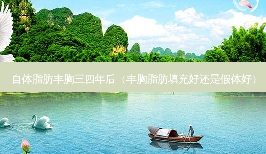 自体脂肪丰胸三四年后(丰胸脂肪填充好还是假体好)-第1张图片-美呗严选网 自体脂肪丰胸三四年后(丰胸脂肪填充好还是假体好)-第1张图片-美呗严选网