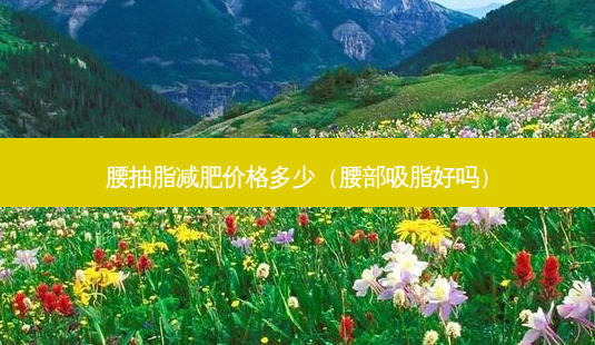 腰抽脂减肥价格多少(腰部吸脂好吗)-第1张图片-美呗严选网 腰抽脂减肥价格多少(腰部吸脂好吗)-第1张图片-美呗严选网