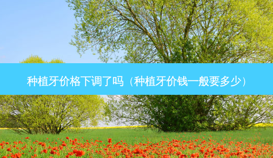 种植牙价格下调了吗(种植牙价钱一般要多少)-第1张图片-美呗严选网 种植牙价格下调了吗(种植牙价钱一般要多少)-第1张图片-美呗严选网