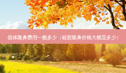 假体隆鼻费用一般多少(硅胶隆鼻价格大概是多少)-第1张图片-美呗严选网 假体隆鼻费用一般多少(硅胶隆鼻价格大概是多少)-第1张图片-美呗严选网