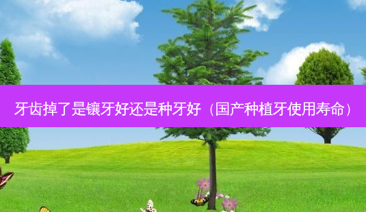 牙齿掉了是镶牙好还是种牙好(国产种植牙使用寿命)-第1张图片-美呗严选网 牙齿掉了是镶牙好还是种牙好(国产种植牙使用寿命)-第1张图片-美呗严选网