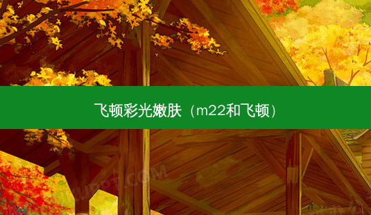 飞顿彩光嫩肤(m22和飞顿)-第1张图片-美呗严选网 飞顿彩光嫩肤(m22和飞顿)-第1张图片-美呗严选网