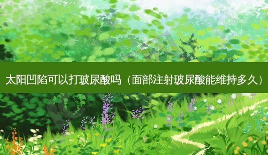 太阳凹陷可以打玻尿酸吗(面部注射玻尿酸能维持多久)-第1张图片-美呗严选网 太阳凹陷可以打玻尿酸吗(面部注射玻尿酸能维持多久)-第1张图片-美呗严选网
