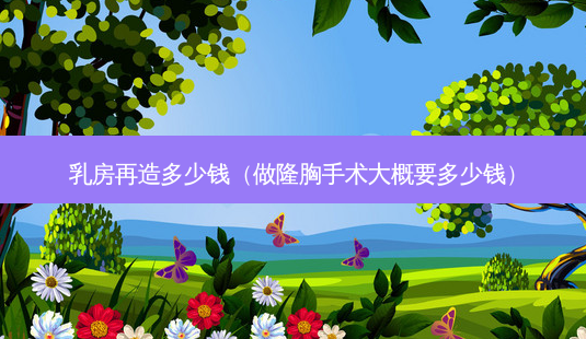*** 再造多少钱(做隆胸手术大概要多少钱)-第1张图片-美呗严选网 *** 再造多少钱(做隆胸手术大概要多少钱)-第1张图片-美呗严选网