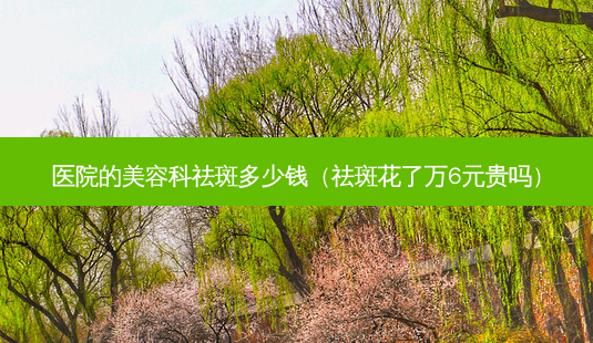 医院的美容科祛斑多少钱(祛斑花了万6元贵吗)-第1张图片-美呗严选网 医院的美容科祛斑多少钱(祛斑花了万6元贵吗)-第1张图片-美呗严选网
