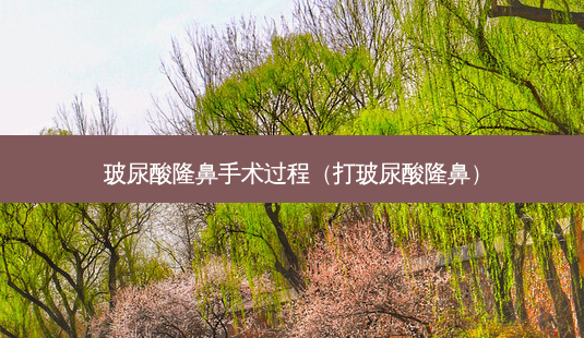 玻尿酸隆鼻手术过程(打玻尿酸隆鼻)-第1张图片-美呗严选网 玻尿酸隆鼻手术过程(打玻尿酸隆鼻)-第1张图片-美呗严选网