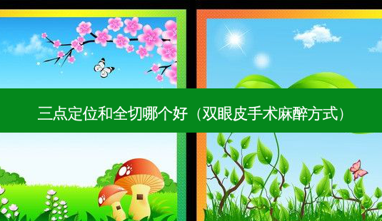 三点定位和全切哪个好(双眼皮手术麻醉方式)-第1张图片-美呗严选网 三点定位和全切哪个好(双眼皮手术麻醉方式)-第1张图片-美呗严选网