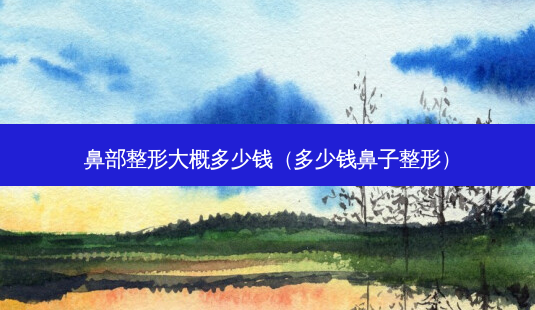 鼻部整形大概多少钱(多少钱鼻子整形)-第1张图片-美呗严选网 鼻部整形大概多少钱(多少钱鼻子整形)-第1张图片-美呗严选网