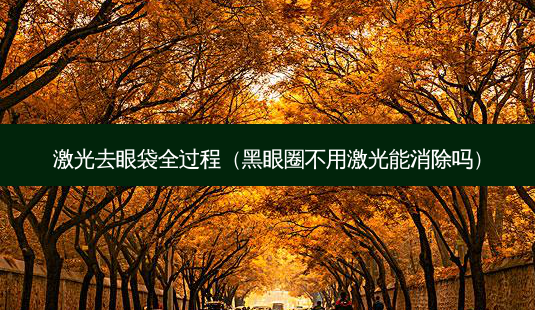 激光去眼袋全过程(黑眼圈不用激光能消除吗)-第1张图片-美呗严选网 激光去眼袋全过程(黑眼圈不用激光能消除吗)-第1张图片-美呗严选网