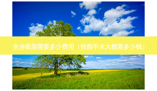 全身吸脂需要多少费用(抽脂手术大概要多少钱)-第1张图片-美呗严选网 全身吸脂需要多少费用(抽脂手术大概要多少钱)-第1张图片-美呗严选网