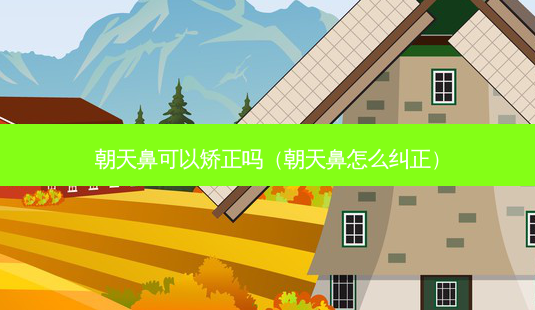 朝天鼻可以矫正吗(朝天鼻怎么纠正)-第1张图片-美呗严选网 朝天鼻可以矫正吗(朝天鼻怎么纠正)-第1张图片-美呗严选网