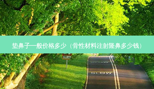 垫鼻子一般价格多少(骨性材料注射隆鼻多少钱)-第1张图片-美呗严选网 垫鼻子一般价格多少(骨性材料注射隆鼻多少钱)-第1张图片-美呗严选网