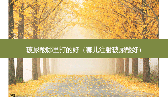 玻尿酸哪里打的好(哪儿注射玻尿酸好)-第1张图片-美呗严选网 玻尿酸哪里打的好(哪儿注射玻尿酸好)-第1张图片-美呗严选网