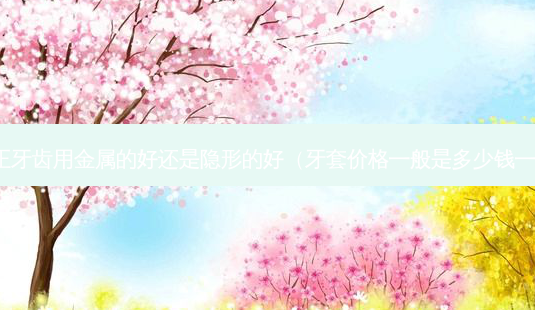 矫正牙齿用金属的好还是隐形的好(牙套价格一般是多少钱一个)-第1张图片-美呗严选网 矫正牙齿用金属的好还是隐形的好(牙套价格一般是多少钱一个)-第1张图片-美呗严选网