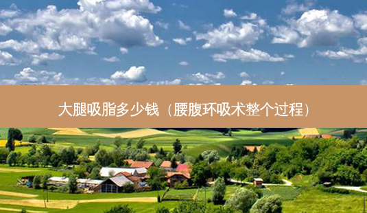 大腿吸脂多少钱(腰腹环吸术整个过程)-第1张图片-美呗严选网 大腿吸脂多少钱(腰腹环吸术整个过程)-第1张图片-美呗严选网
