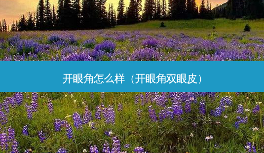开眼角怎么样(开眼角双眼皮)-第1张图片-美呗严选网 开眼角怎么样(开眼角双眼皮)-第1张图片-美呗严选网