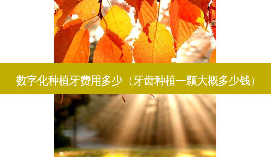 数字化种植牙费用多少(牙齿种植一颗大概多少钱)-第1张图片-美呗严选网 数字化种植牙费用多少(牙齿种植一颗大概多少钱)-第1张图片-美呗严选网