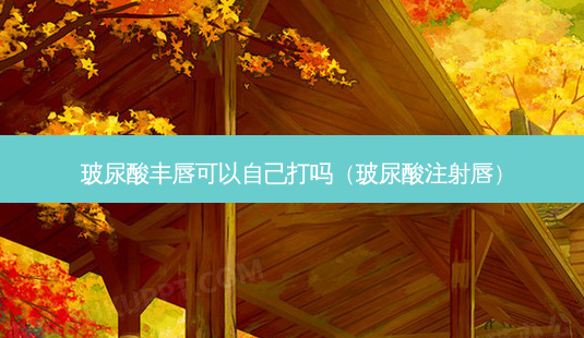 玻尿酸丰唇可以自己打吗(玻尿酸注射唇)-第1张图片-美呗严选网 玻尿酸丰唇可以自己打吗(玻尿酸注射唇)-第1张图片-美呗严选网
