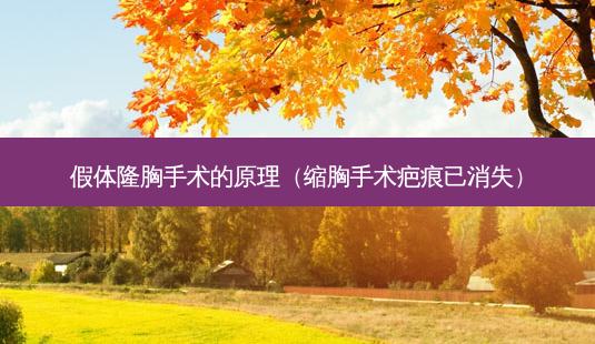 假体隆胸手术的原理(缩胸手术疤痕已消失)-第1张图片-美呗严选网 假体隆胸手术的原理(缩胸手术疤痕已消失)-第1张图片-美呗严选网