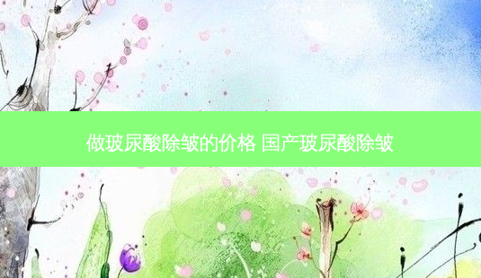 做玻尿酸除皱的价格 国产玻尿酸除皱-第1张图片-美呗严选网 做玻尿酸除皱的价格 国产玻尿酸除皱-第1张图片-美呗严选网