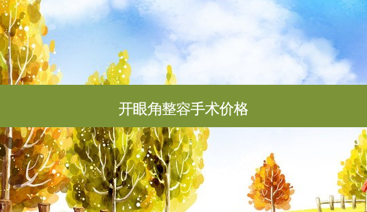 开眼角整容手术价格-第1张图片-美呗严选网 开眼角整容手术价格-第1张图片-美呗严选网
