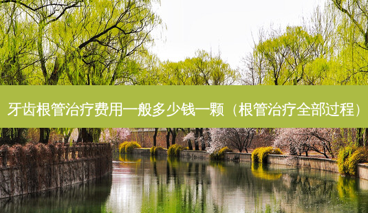 牙齿根管费用一般多少钱一颗(根管全部过程)-第1张图片-美呗严选网 牙齿根管费用一般多少钱一颗(根管全部过程)-第1张图片-美呗严选网