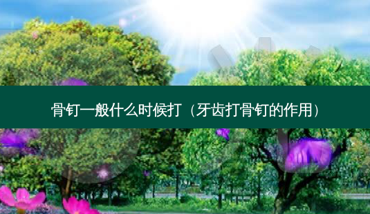 骨钉一般什么时候打(牙齿打骨钉的作用)-第1张图片-美呗严选网 骨钉一般什么时候打(牙齿打骨钉的作用)-第1张图片-美呗严选网