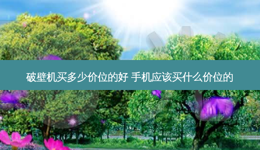 破壁机买多少价位的好 手机应该买什么价位的-第1张图片-美呗严选网 破壁机买多少价位的好 手机应该买什么价位的-第1张图片-美呗严选网