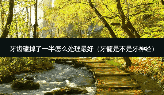 牙齿磕掉了一半怎么处理好(牙髓是不是牙神经)-第1张图片-美呗严选网 牙齿磕掉了一半怎么处理好(牙髓是不是牙神经)-第1张图片-美呗严选网