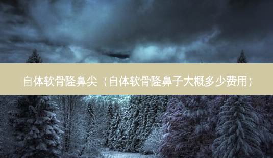 自体软骨隆鼻尖(自体软骨隆鼻子大概多少费用)-第1张图片-美呗严选网 自体软骨隆鼻尖(自体软骨隆鼻子大概多少费用)-第1张图片-美呗严选网
