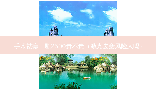 手术祛痣一颗2500贵不贵(激光去痣风险大吗)-第1张图片-美呗严选网 手术祛痣一颗2500贵不贵(激光去痣风险大吗)-第1张图片-美呗严选网