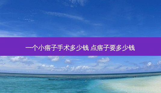 一个小痦子手术多少钱 点痦子要多少钱-第1张图片-美呗严选网 一个小痦子手术多少钱 点痦子要多少钱-第1张图片-美呗严选网