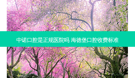 中诺口腔是正规医院吗 海德堡口腔收费标准-第1张图片-美呗严选网 中诺口腔是正规医院吗 海德堡口腔收费标准-第1张图片-美呗严选网
